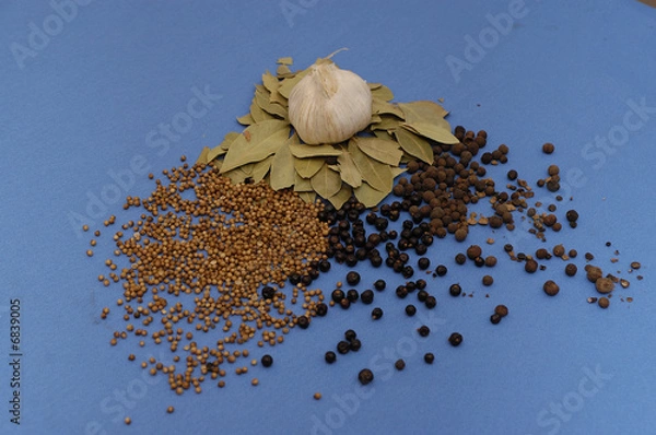 Fototapeta Zioła i czosnek