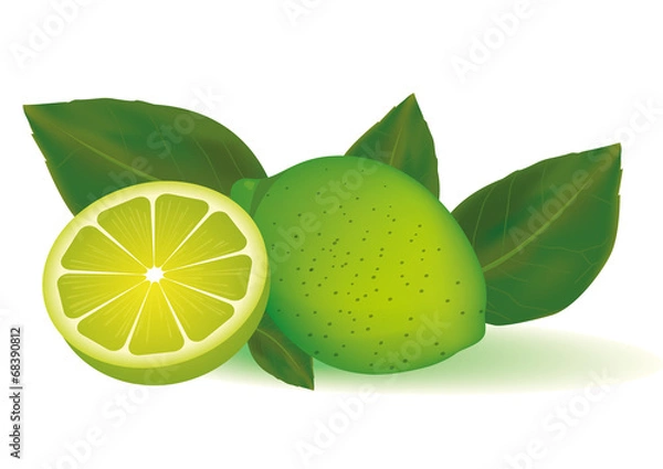 Fototapeta Citron vert