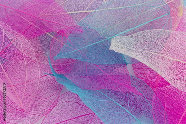 Obraz Macro leaves background texture