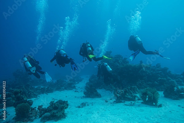 Obraz Gruppe Taucher