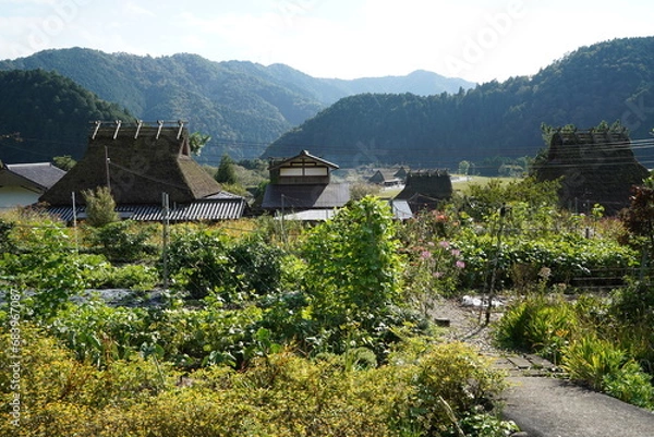Obraz かやぶきの里（京都府南丹市美山町　北集落、京都丹波高原国定公園）