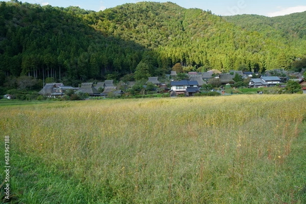 Obraz かやぶきの里（京都府南丹市美山町　北集落、京都丹波高原国定公園）