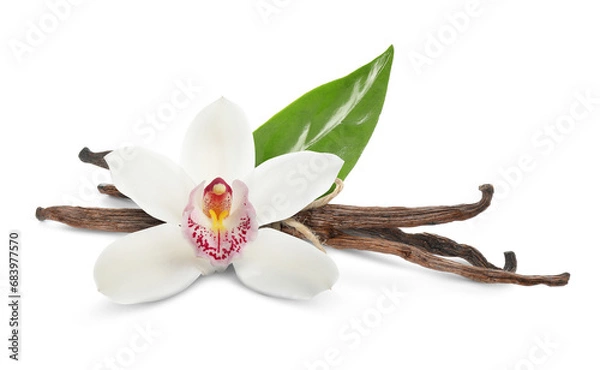 Fototapeta Vanilla pods, green leaf and flower isolated on white