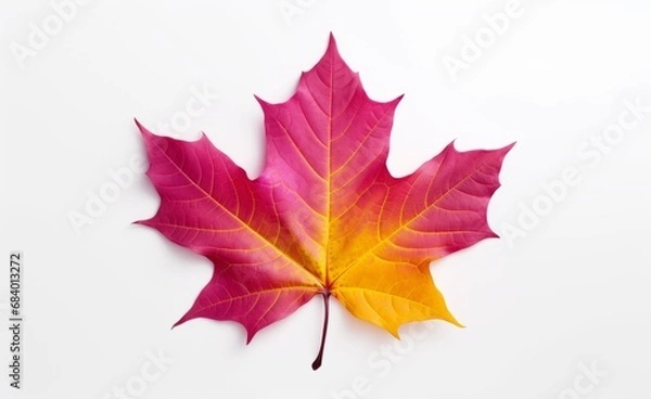 Fototapeta Stunning Solo Maple Leaf: Six Unique Views Isolated on White Background Generative AI