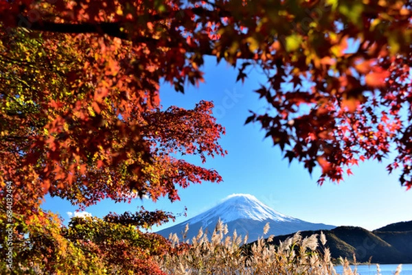 Fototapeta 絶景紅葉と富士（快晴の河口湖畔から臨む）