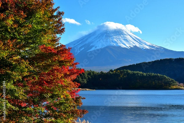 Obraz 絶景紅葉と富士（快晴の河口湖畔から臨む）