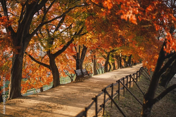 Obraz 단풍산책길