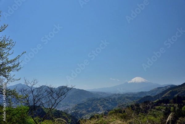 Fototapeta 絶景富士山と新緑の高松山