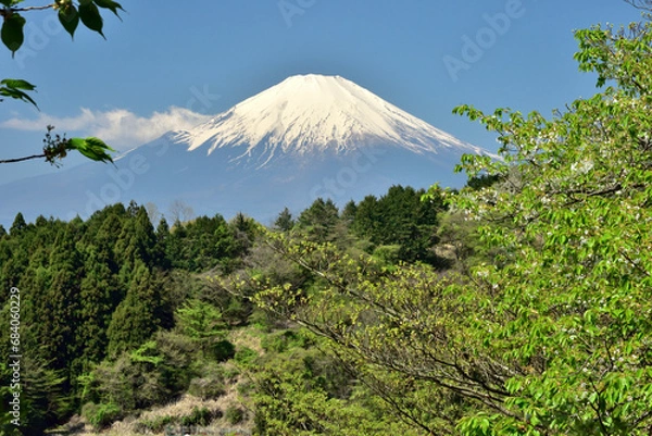 Obraz 絶景富士山と新緑の高松山
