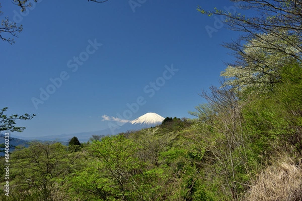 Obraz 絶景富士山と新緑の高松山
