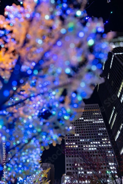 Obraz イルミネーション