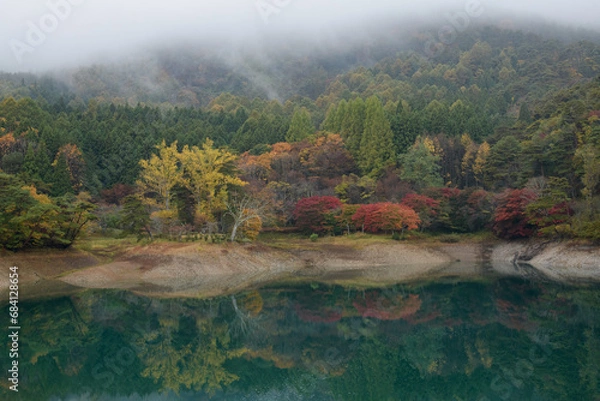 Fototapeta 山から降りる霧と紅葉の半田山自然公園