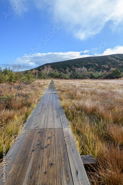 Obraz 秋の晴れた浄土平湿原