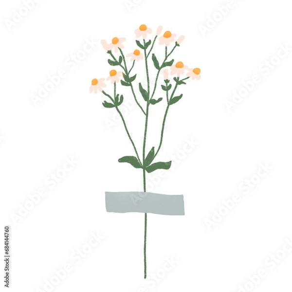 Fototapeta Washi tape with flowers. Boho plants. Beautiful hand drawn wild grass and flowers. Cute crafty decorations.
