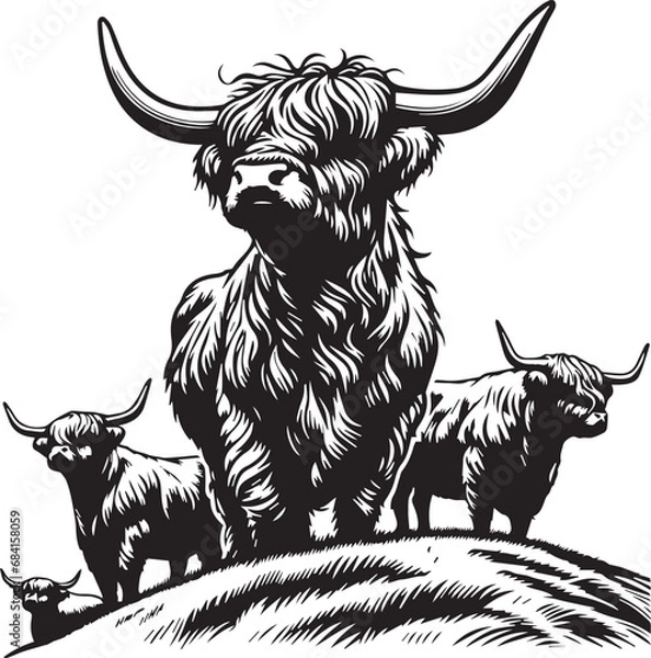 Obraz Highland cattle vector illustration