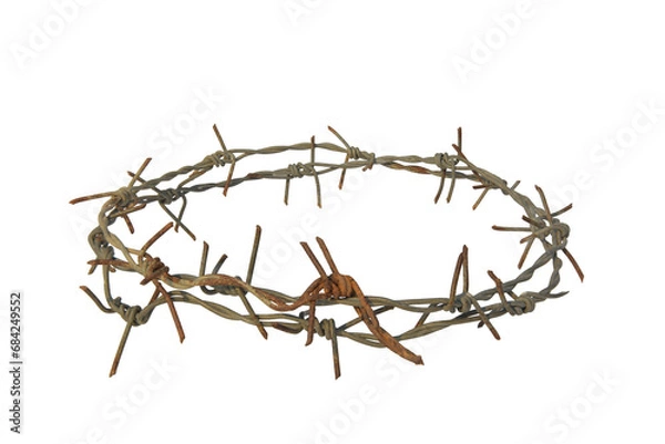Fototapeta crown of thorns isolated on white background with clipping path.