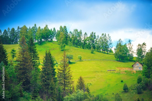 Obraz Tranquil Mountain Landscape with house on the forested slopes of Carpathians