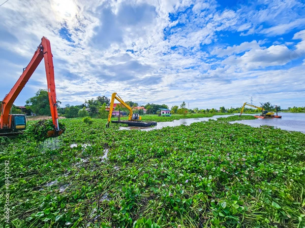 Obraz Eliminate water hyacinths that block water canals in Thailand.