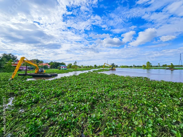 Obraz Eliminate water hyacinths that block water canals in Thailand.