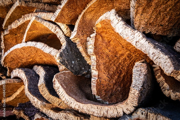 Obraz Stack of cork oak barks, Portugal