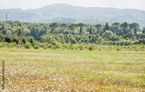 Fototapeta tuscany landscape
