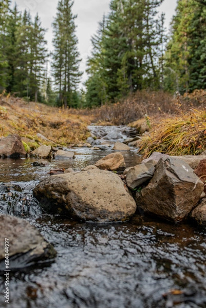 Obraz Creek in the forest, fall 