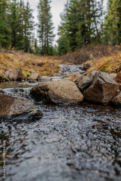Obraz Creek in the forest, fall 