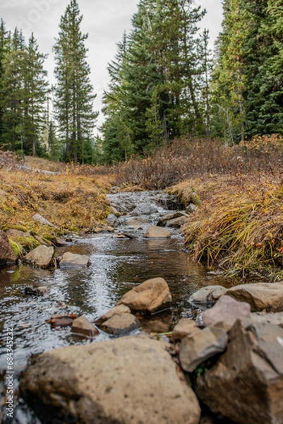 Obraz Creek in the forest, fall 