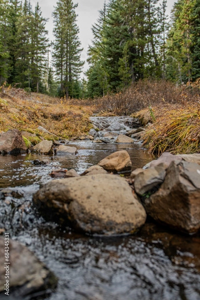 Obraz Creek in the forest, fall 