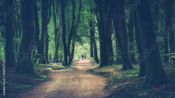 Fototapeta Runner on one.  early morning walking alone in the distance in a natural forest