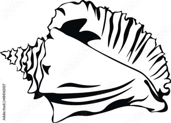 Fototapeta Cartoon Black and White Isolated Illustration Vector Of A Conch Shell