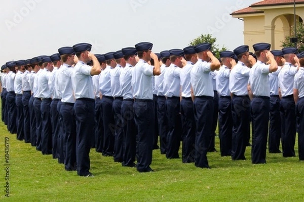 Obraz Air Force Honor II