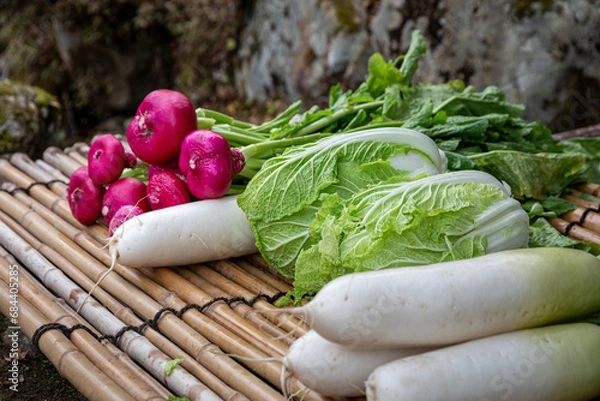 Obraz 赤カブ・ハクサイ・ダイコン 飛騨高山産野菜