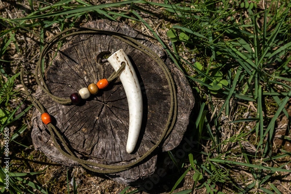 Obraz 鹿の角　アクセサリー　民族の装飾