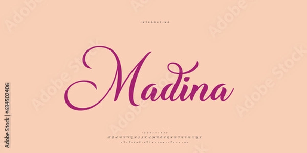 Fototapeta Hand drawn elegant alphabet letters font and number. Classic Lettering Minimal Fashion Designs. Typography modern serif fonts regular decorative vintage concept. vector illustration