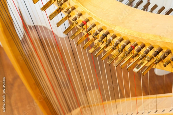 Fototapeta Celtic harp view from top