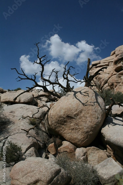 Fototapeta A Rocky Path