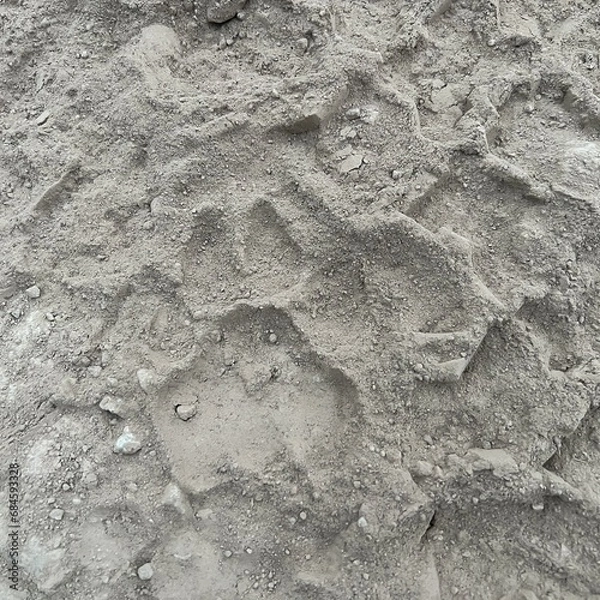 Obraz Lion footprint