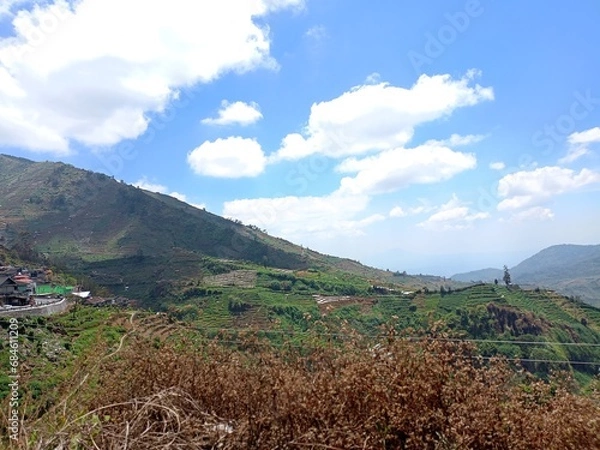 Obraz landscape with sky