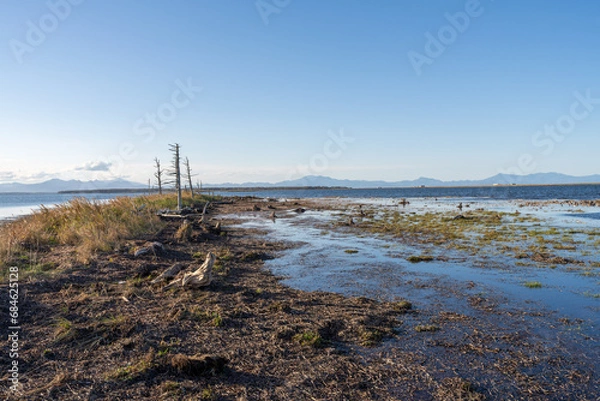 Fototapeta 北海道、道東、野付半島、海、トドワラ、ナラワラ、風景、自然、空、晴れ、日本、波、青空、水面、海面、海岸、琵琶湖、雲、コピースペース、快晴、観光、観光地、旅行、屋外、船