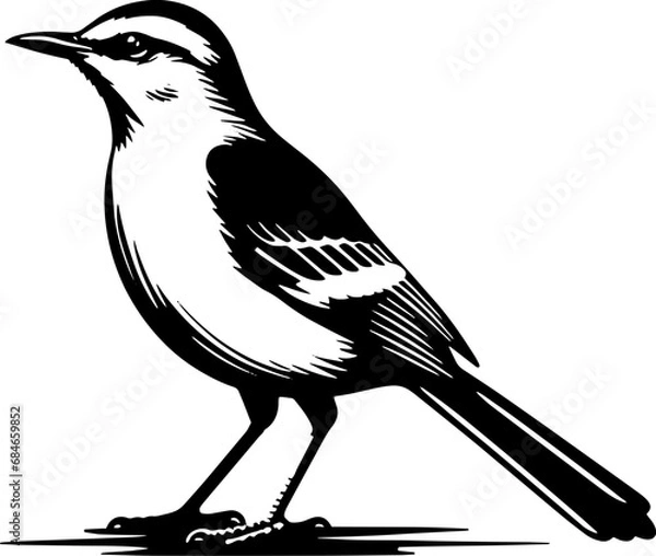 Obraz Mockingbird icon 6