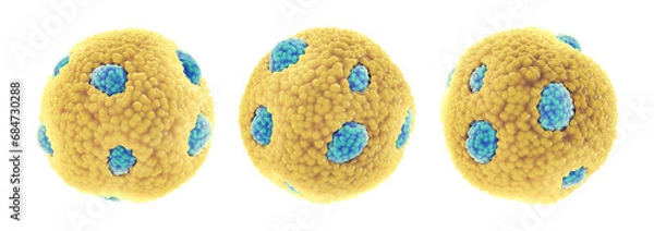 Obraz Set of high-density lipoprotein particles(HDL) also known as good cholesterol, isolated on white . Higher HDL levels correlate with lower risk of cardiovascular disease