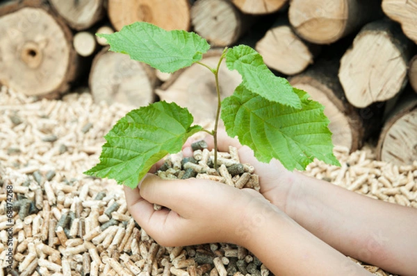 Fototapeta Pellets- Biomy