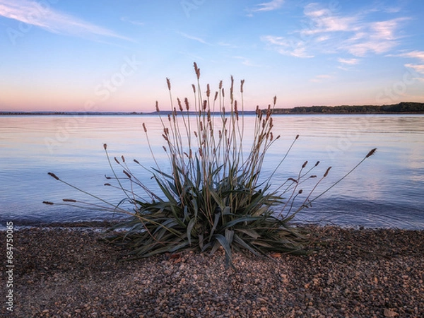 Fototapeta sunset on the lake