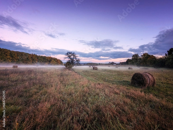 Fototapeta sunrise over the field
