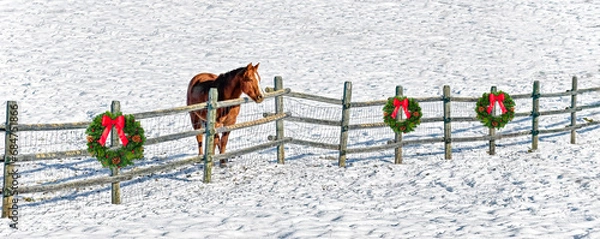 Obraz A horse standing at a fence in a snow-covered pasture. Wreathes on the fence.