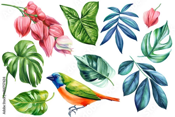 Fototapeta Tropical bird, colorful Leaves and flowers set elements on isolated white background, watercolor hand drawn painting