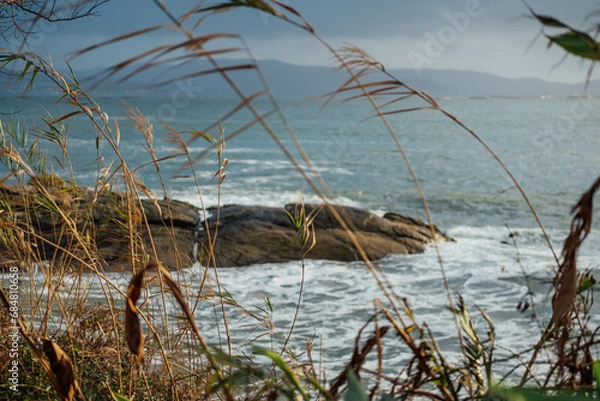 Fototapeta Grass and vegetation on the shore at sunset. Galicia, Spain