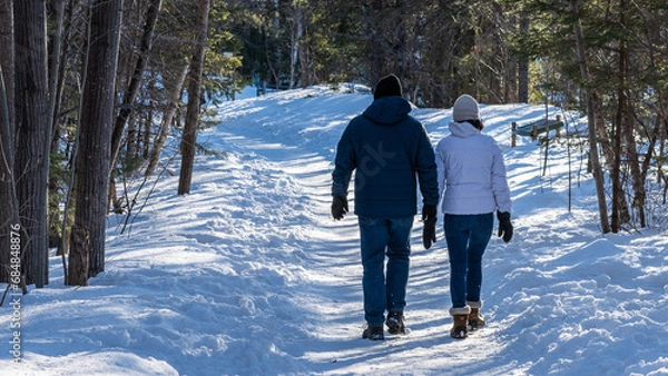 Obraz Walking in a winter day