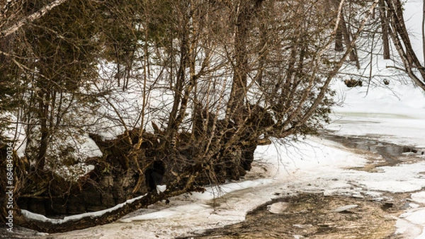 Obraz Walking in a winter day